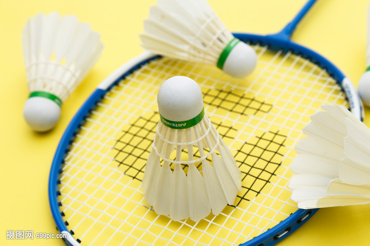 生是一项结 生是一项结