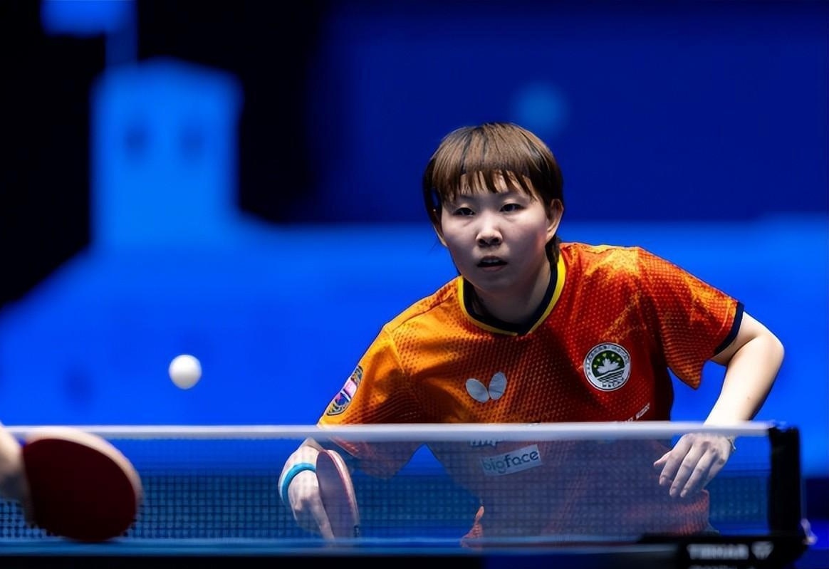 投入到组织 投入到组织