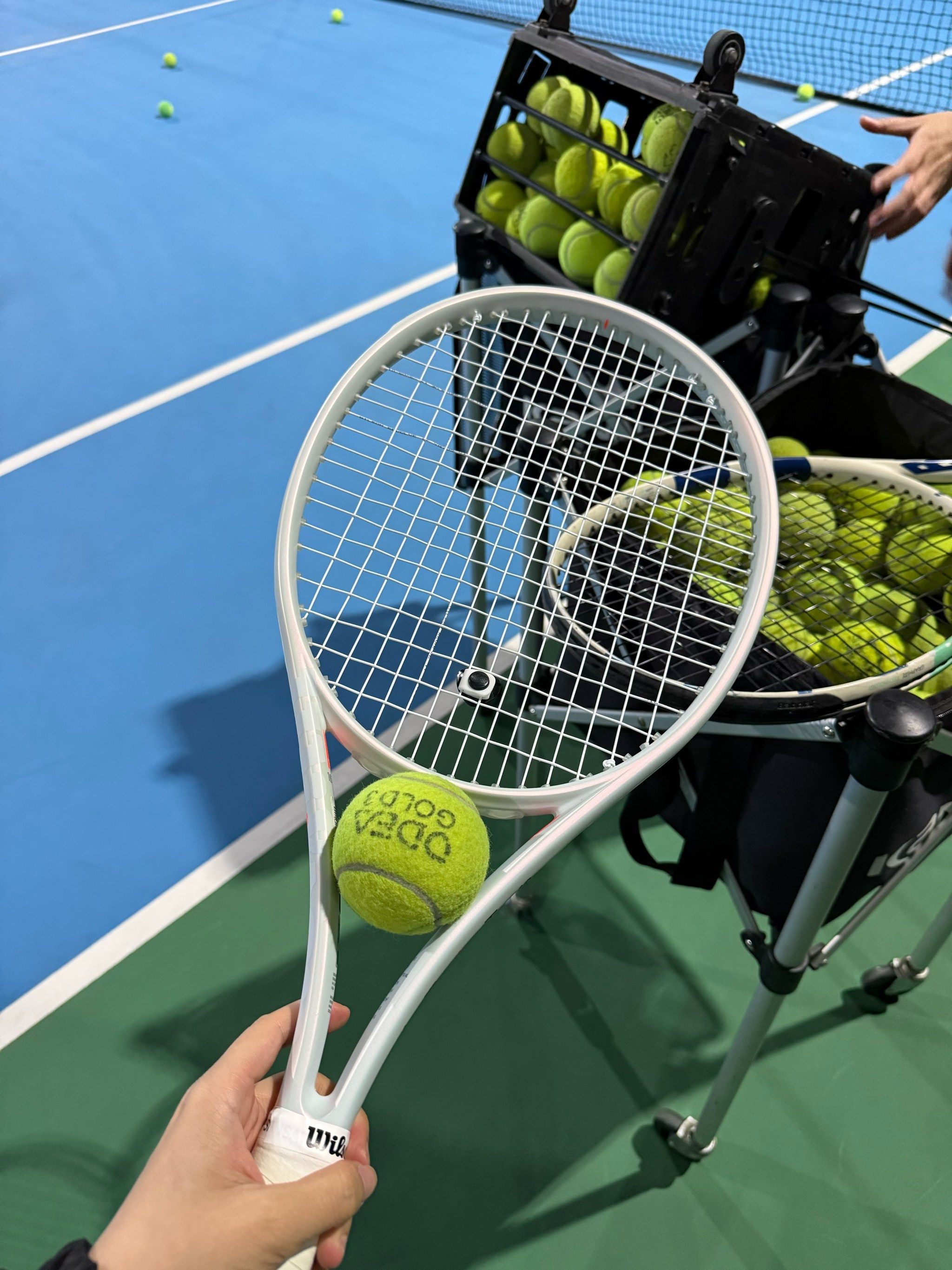 巢欢乐冰雪 巢欢乐冰雪