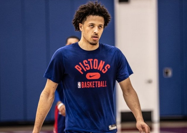 红树林少体 红树林少体