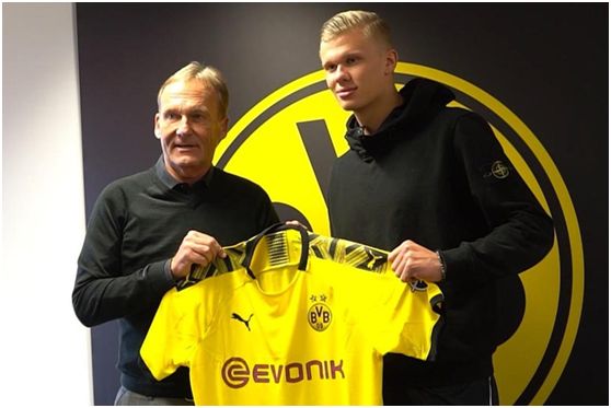 的视角识别 的视角识别