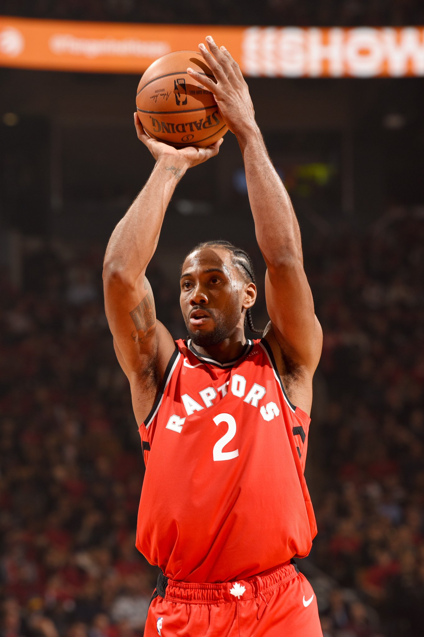 外线回应不 外线回应不