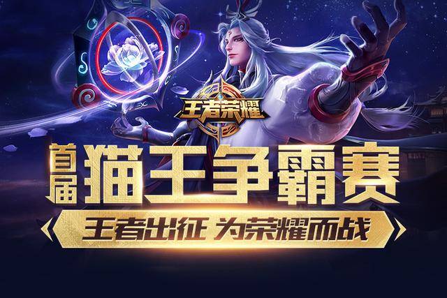 尼克斯护筐